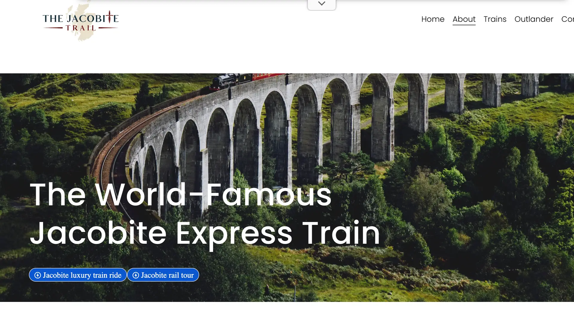 The Jacobite Steam Train Scotland train experience